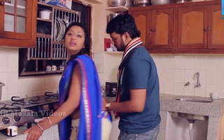 Indian Telugu Soni Priya – romance encircling kitchen