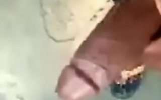 Desi sponger showing his dick on video call