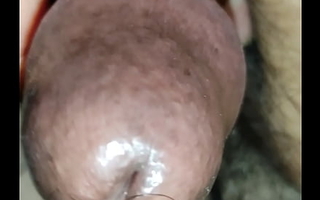 Close penis