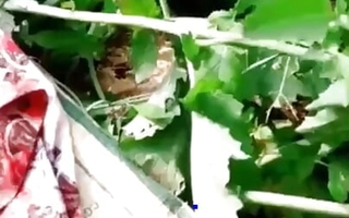 Indian Misguide Maid Cheating Sex with Owner convenient Outdoor Farm